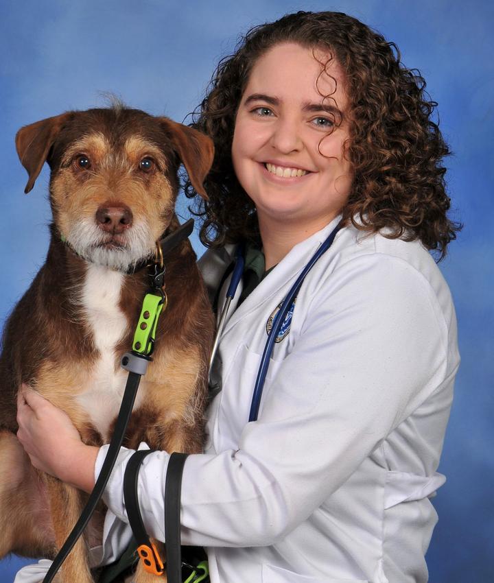 Lindsey cloutier dvm valley veterinary hospital